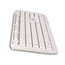 -1-Teclado NGS Spike/ Blanco-1