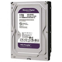 -1-Disco Duro Western Digital WD Purple Surveillance 1TB/ 3.5