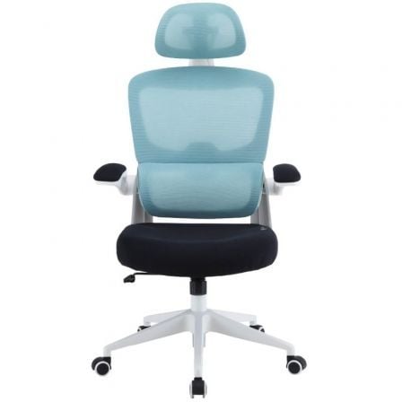 --Silla Gaming Woxter Ergo/ Azul-